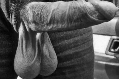 0af7cc19-ffa0-44bb-bbac-67683ea89183